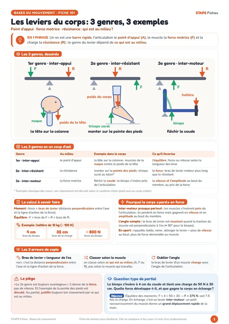 Fiche « Les leviers du corps : 3 genres, 3 exemples » de STAPS Fiches