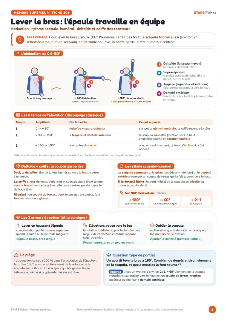 Fiche Lever le bras