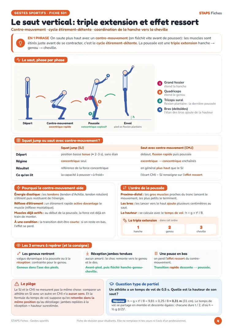 Fiche Le saut vertical