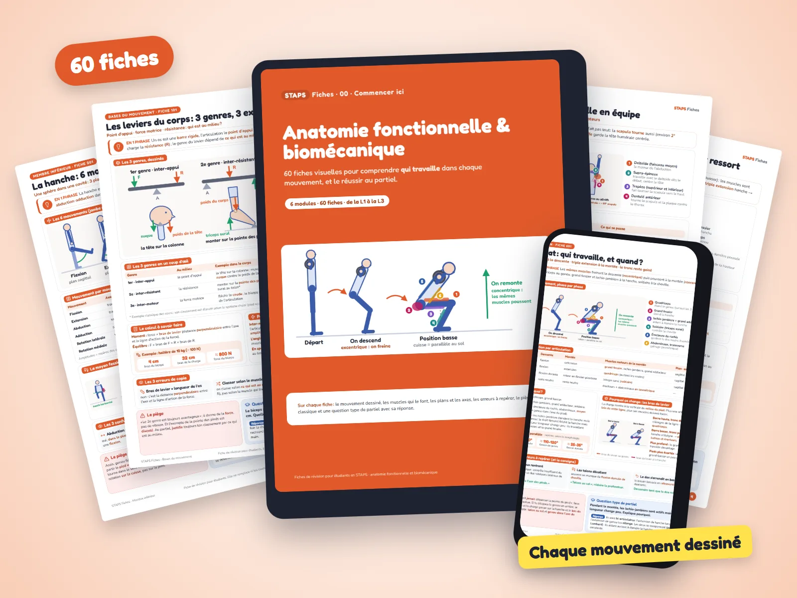 STAPS Fiches : la couverture sur une tablette, une fiche sur un téléphone et plusieurs fiches autour